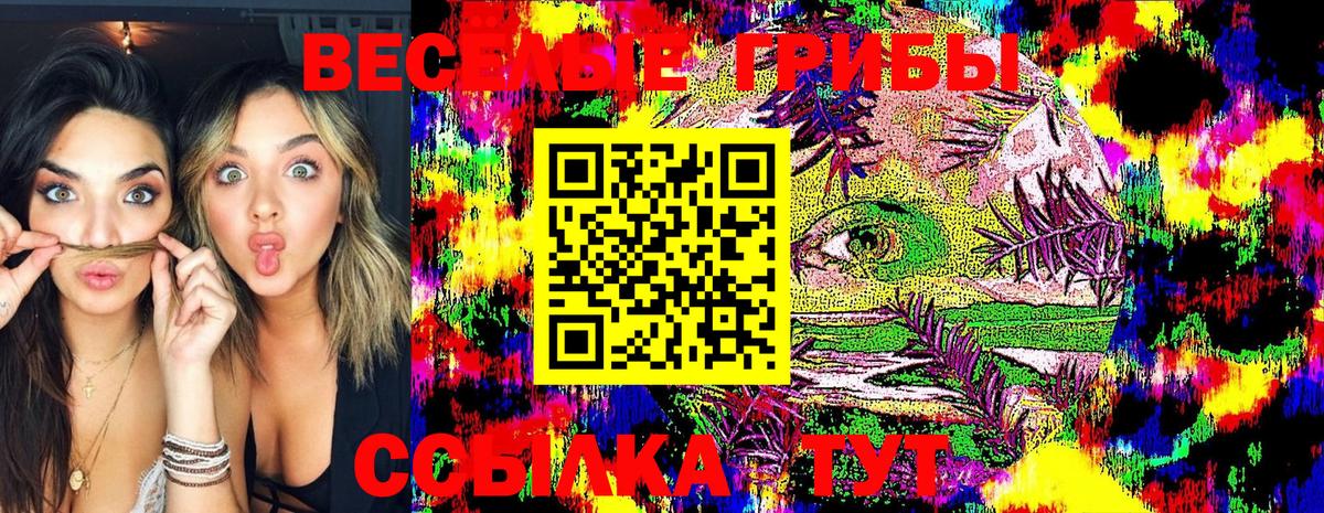 Псилоцибиновые грибы MAGIC MUSHROOMS  Вход с VPN  Сыктывкар  Галлюциногенные грибы Cubensis 